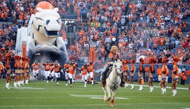 The Horse That Attended The Super Bowl